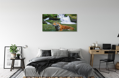 Bild canvas Tiger vattenfall