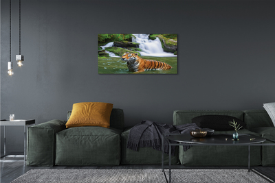 Bild canvas Tiger vattenfall