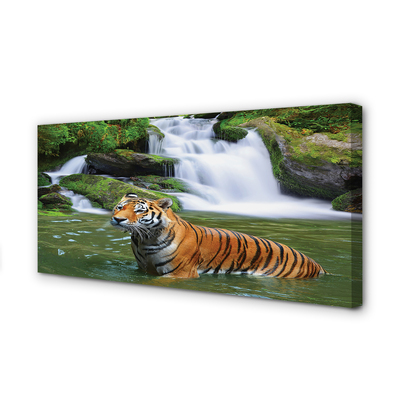 Bild canvas Tiger vattenfall