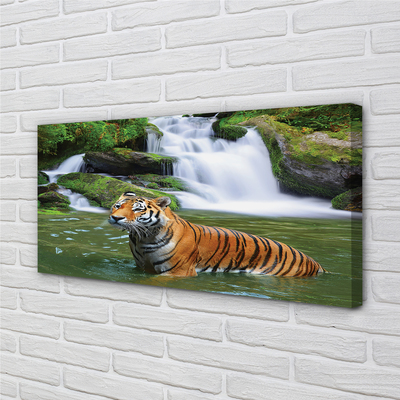 Bild canvas Tiger vattenfall