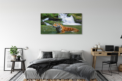 Bild canvas Tiger vattenfall