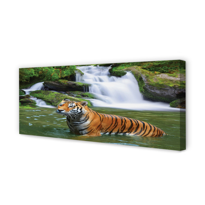 Bild canvas Tiger vattenfall