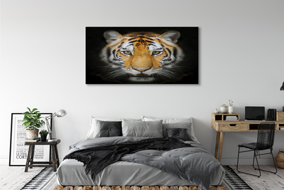 Bild på canvas Tiger