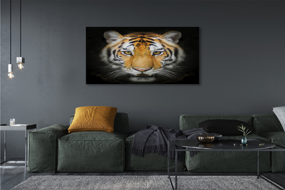 Bild på canvas Tiger