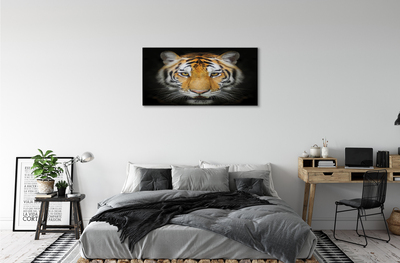 Bild på canvas Tiger