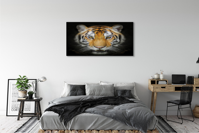 Bild på canvas Tiger