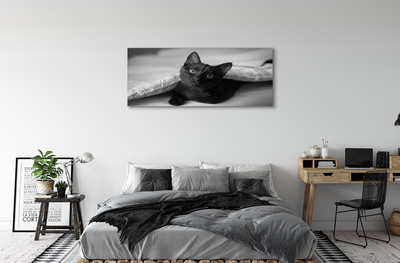 Fototryck canvas Katt under filten