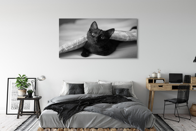 Fototryck canvas Katt under filten