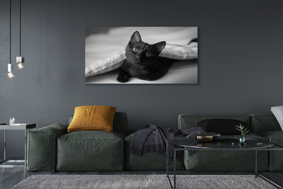 Fototryck canvas Katt under filten