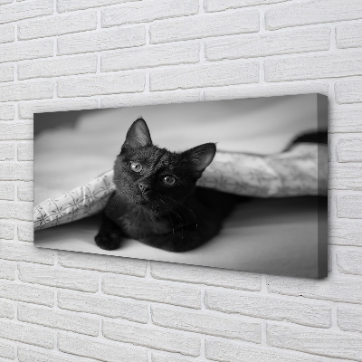 Fototryck canvas Katt under filten