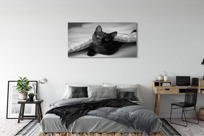 Fototryck canvas Katt under filten