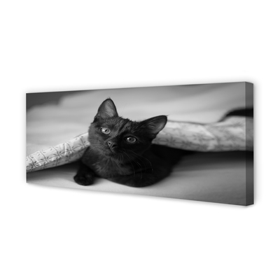 Fototryck canvas Katt under filten