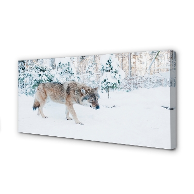 Canvastavla Wolf vinter skog