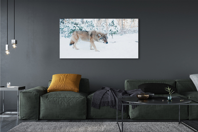Canvastavla Wolf vinter skog