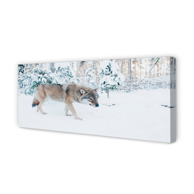 Canvastavla Wolf vinter skog