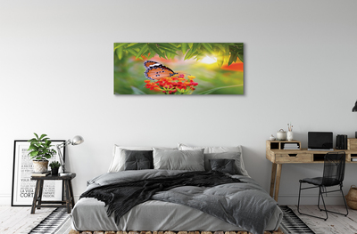 Fototryck canvas Färgglada fjärilsblommor