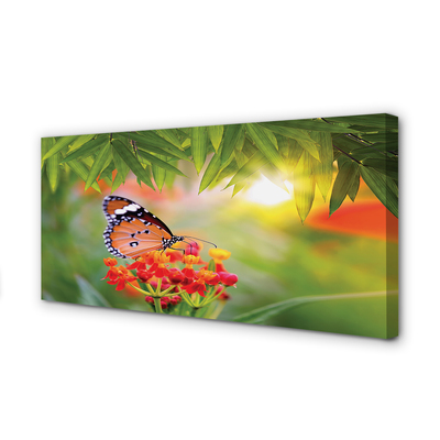 Fototryck canvas Färgglada fjärilsblommor