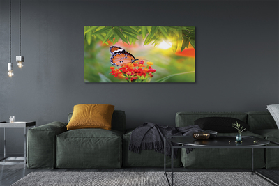 Fototryck canvas Färgglada fjärilsblommor