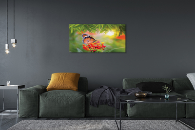 Fototryck canvas Färgglada fjärilsblommor