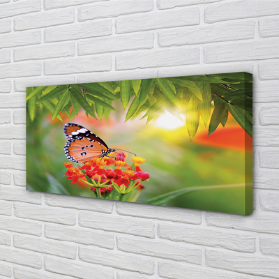 Fototryck canvas Färgglada fjärilsblommor