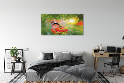 Fototryck canvas Färgglada fjärilsblommor