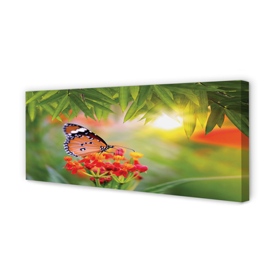 Fototryck canvas Färgglada fjärilsblommor