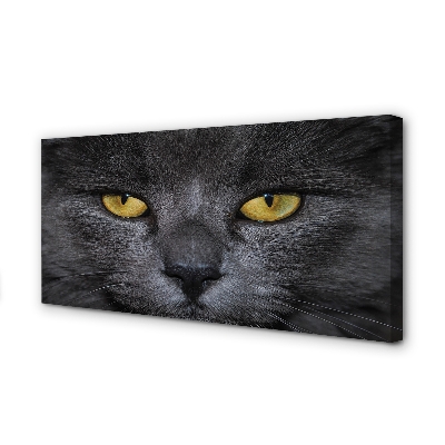 Bild canvas Svart katt