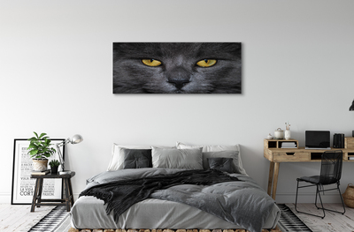 Bild canvas Svart katt