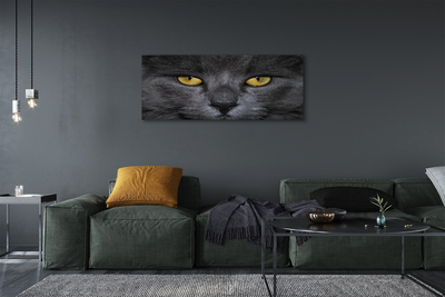 Bild canvas Svart katt