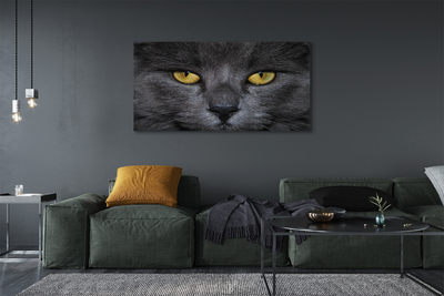 Bild canvas Svart katt