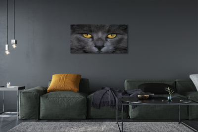 Bild canvas Svart katt