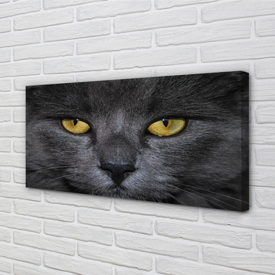 Bild canvas Svart katt