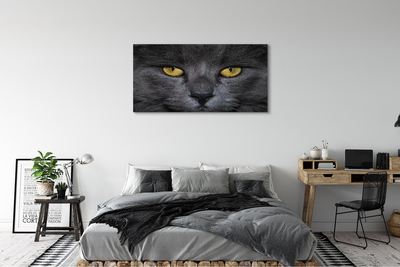 Bild canvas Svart katt