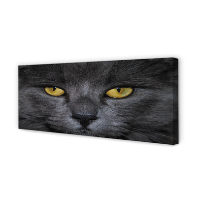 Bild canvas Svart katt