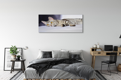 Canvas bild Liggande katt