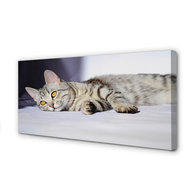 Canvas bild Liggande katt