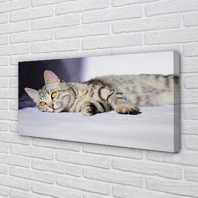 Canvas bild Liggande katt