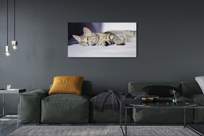 Canvas bild Liggande katt