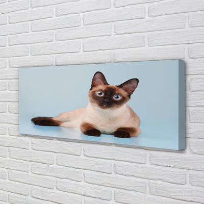 Fototryck canvas Liggande katt