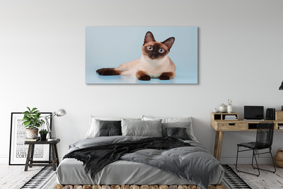 Fototryck canvas Liggande katt