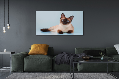 Fototryck canvas Liggande katt