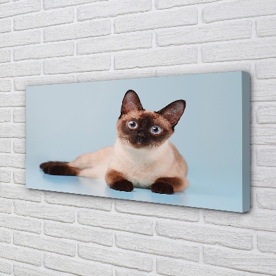 Fototryck canvas Liggande katt