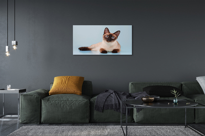 Fototryck canvas Liggande katt