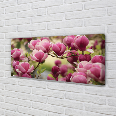 Canvas bild Träd blommor