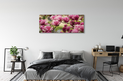 Canvas bild Träd blommor