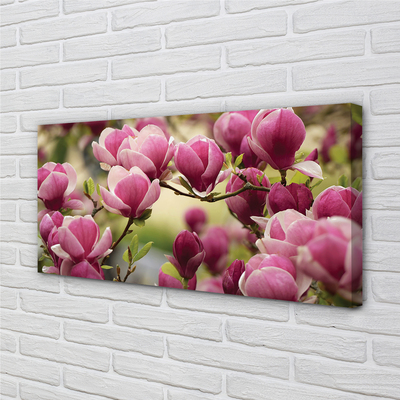 Canvas bild Träd blommor