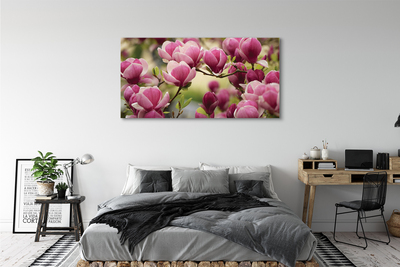 Canvas bild Träd blommor