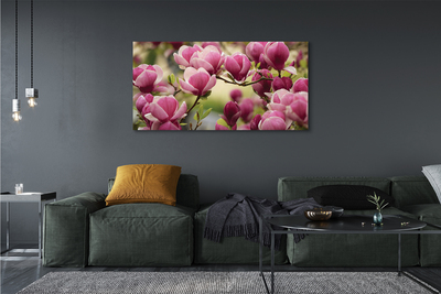 Canvas bild Träd blommor