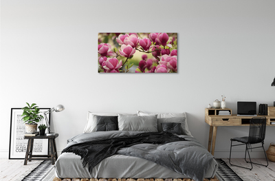 Canvas bild Träd blommor