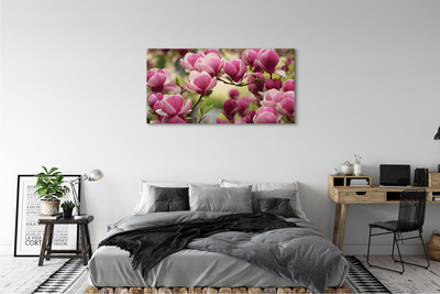 Canvas bild Träd blommor